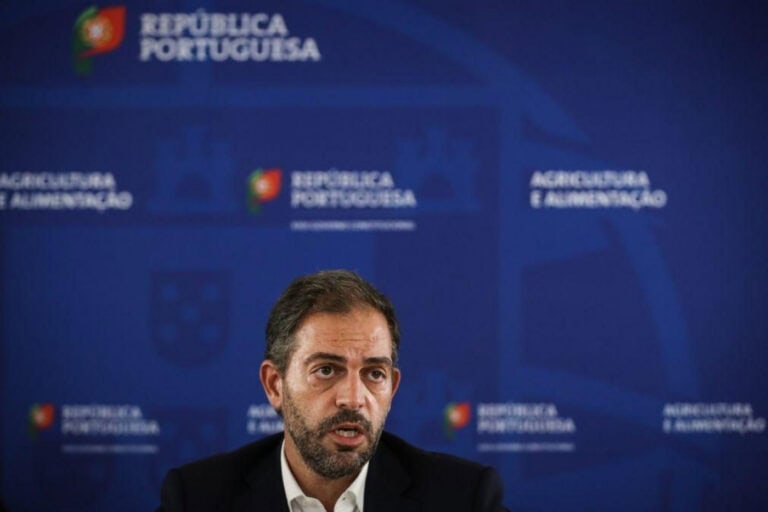 Governo propõe levantar restrições ao regresso ao mercado regulado do gás