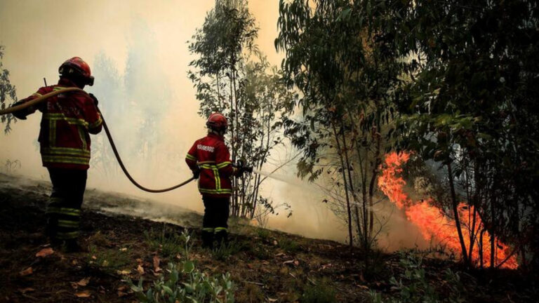 Portugal continental sem fogos em curso&nbsp;
