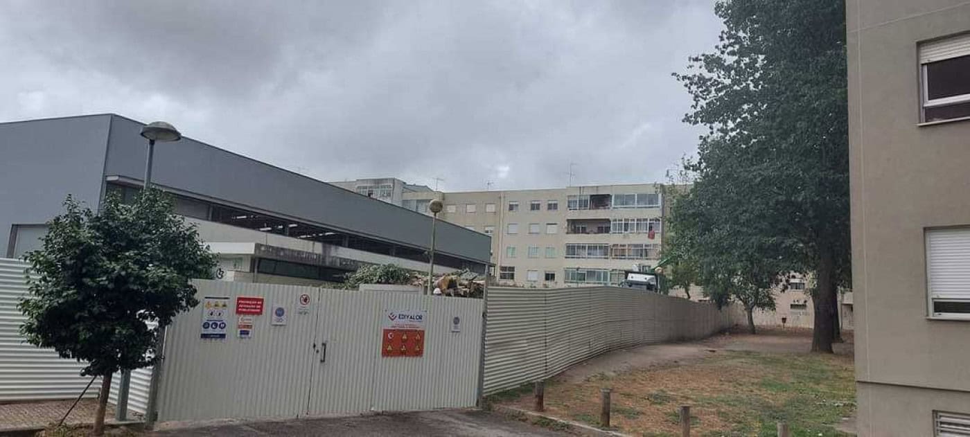 Moradores condenam abate de árvores junto ao Pavilhão das Goladas