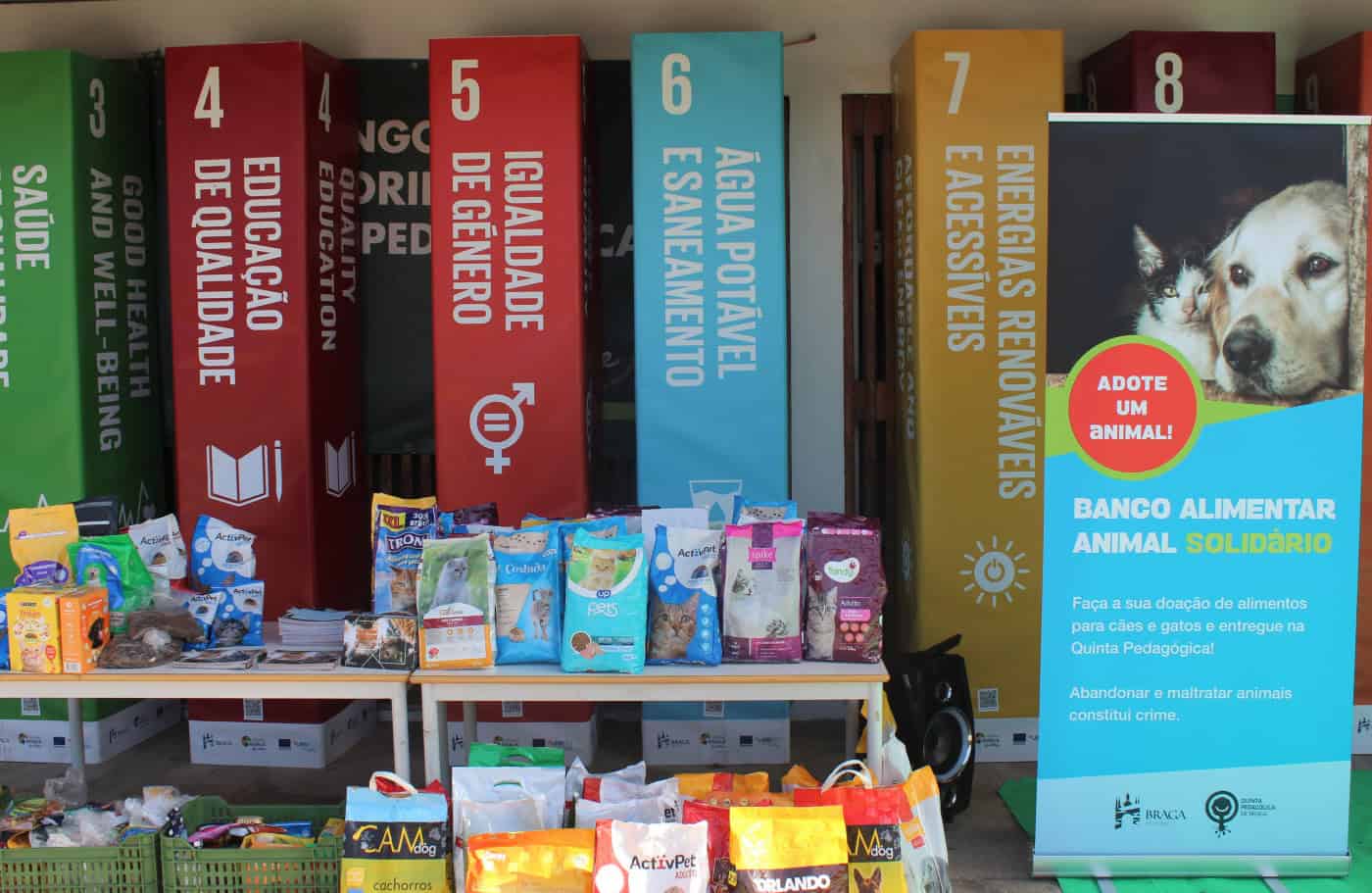 Braga cria Banco Alimentar Animal e promove adoções a partir da Quinta Pedagógica