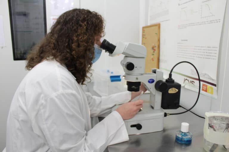 Investigação na UMinho está "estagnada". Denúncia partiu do ICVS