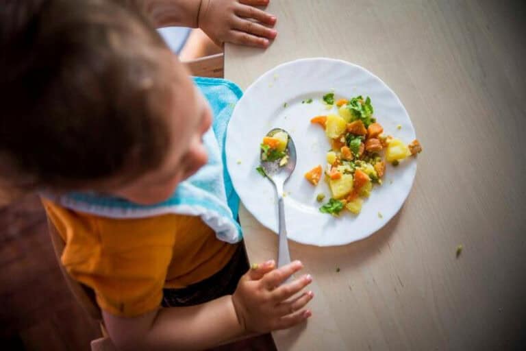 Governo esclarece que amas são responsáveis apenas pelo almoço das crianças