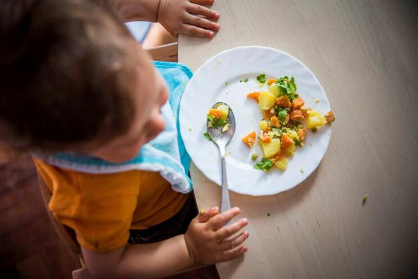 Governo esclarece que amas são responsáveis apenas pelo almoço das crianças