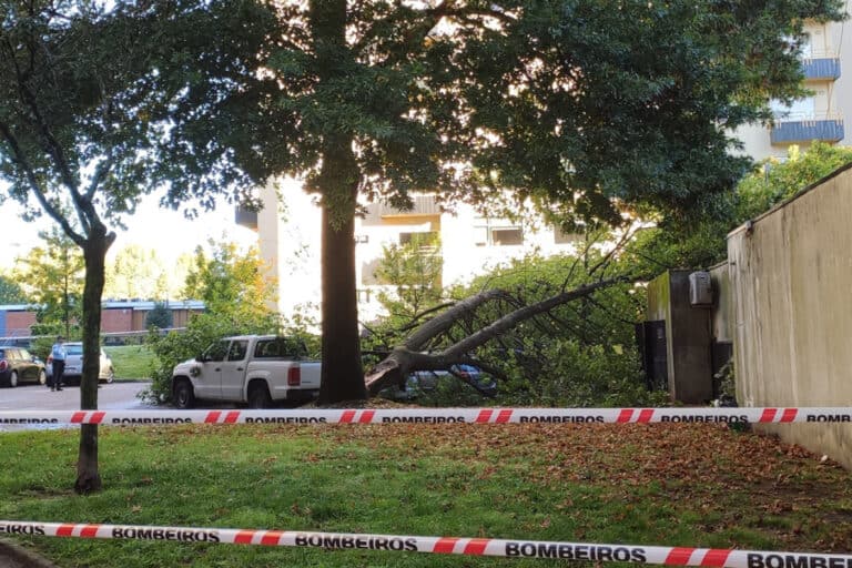 Queda de parte de uma árvore provoca danos em viaturas junto ao Tribunal de Braga