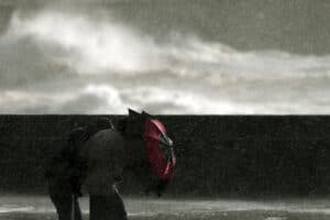 Proteção Civil regista 373 ocorrências no continente até às 15:30 devido ao mau tempo