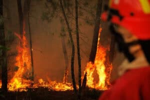 Incêndios. GNR deteve 72 pessoas, o valor mais elevado dos últimos cinco anos