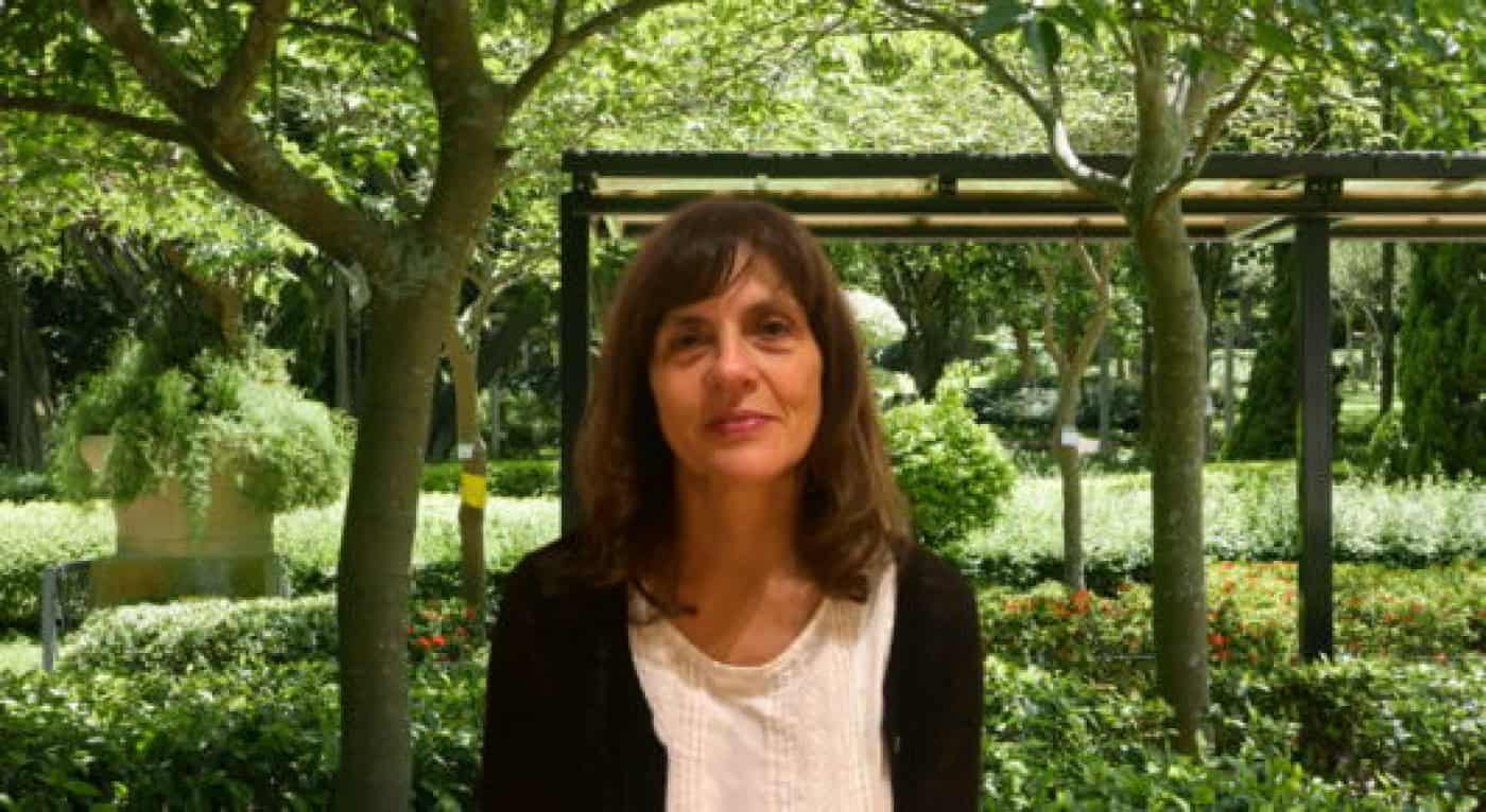 Nova diretora dos Museus D. Diogo de Sousa e Biscainhos toma posse hoje