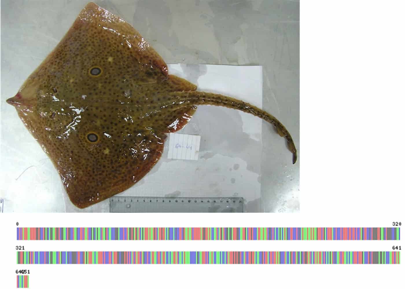 ONU reconhece projeto da UMinho para a Década do Oceano