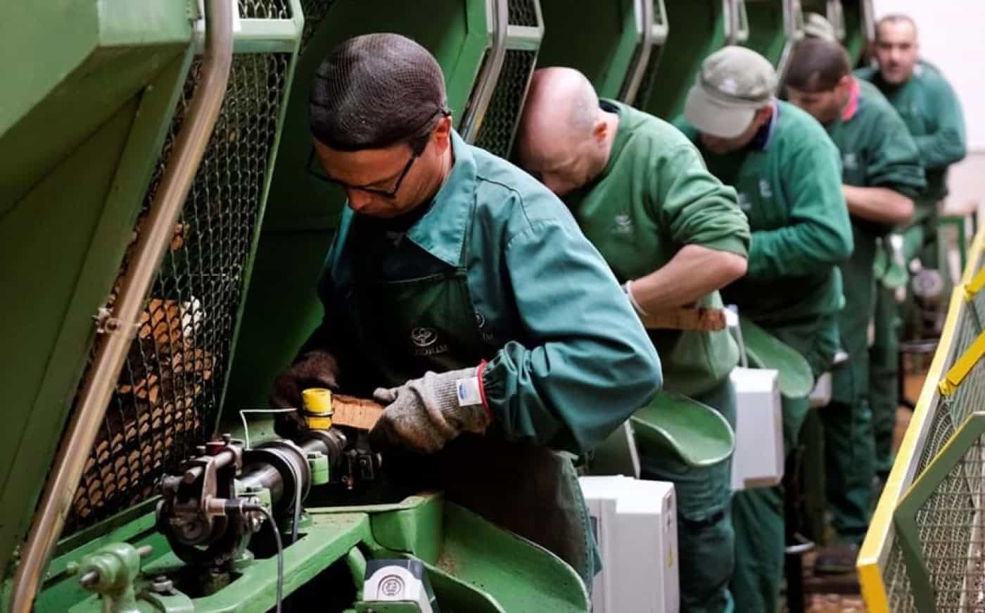 Um quarto dos desempregados encontraram emprego. Mais homens do que mulheres&nbsp;