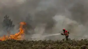 Aprovado plano de ação para a gestão integradas dos fogos rurais