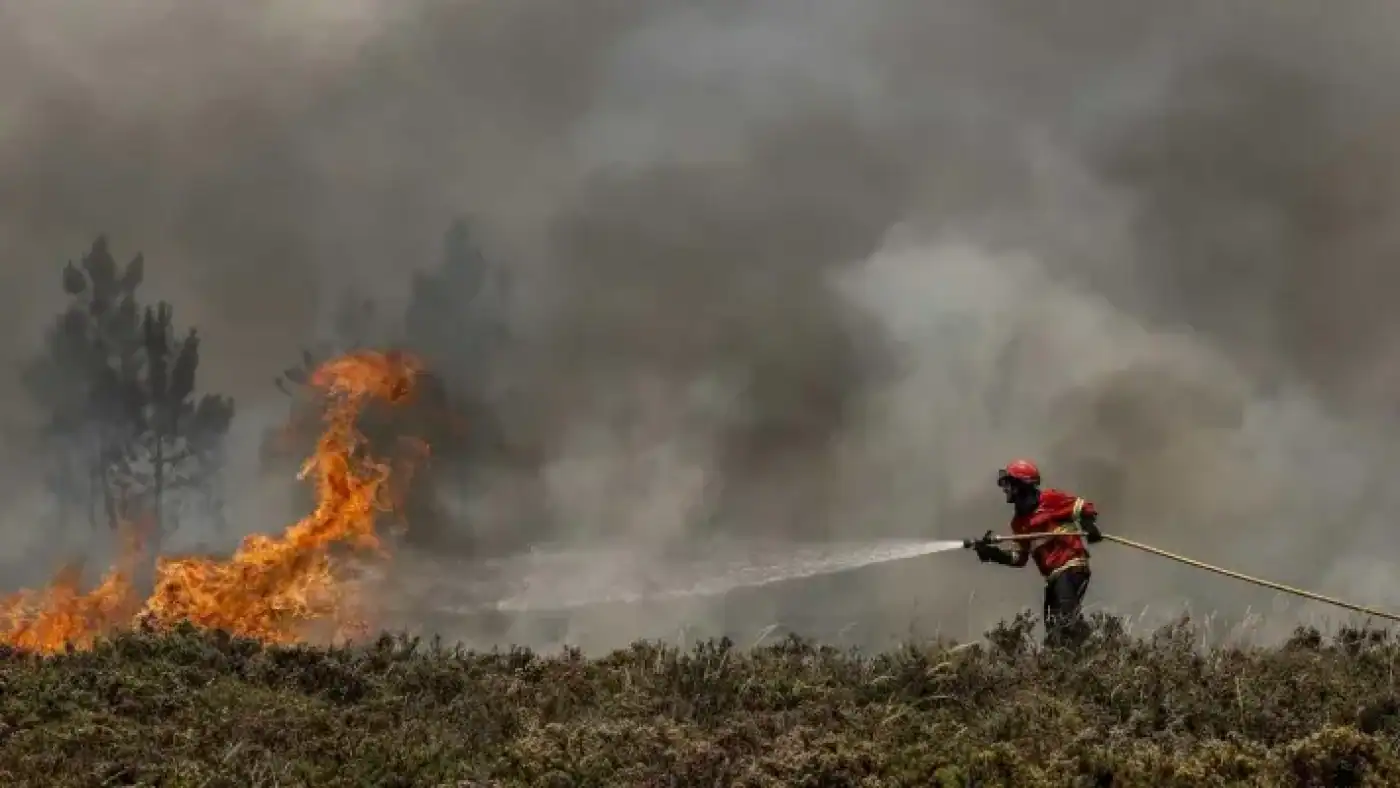 Aprovado plano de ação para a gestão integradas dos fogos rurais