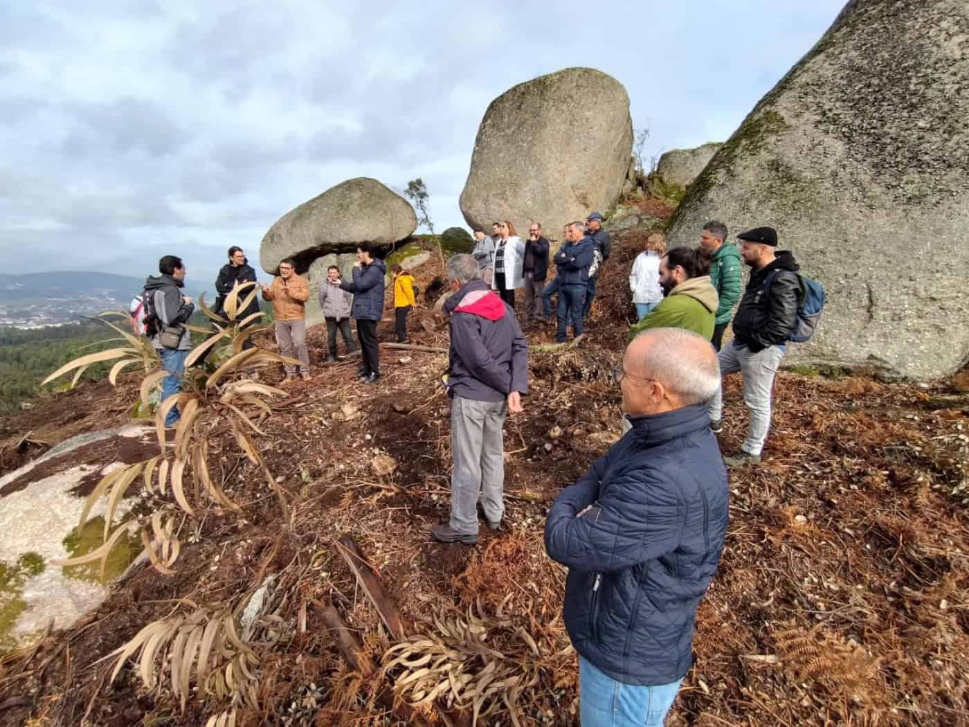 Transição energética “não passa por este tipo de central fotovoltaica"