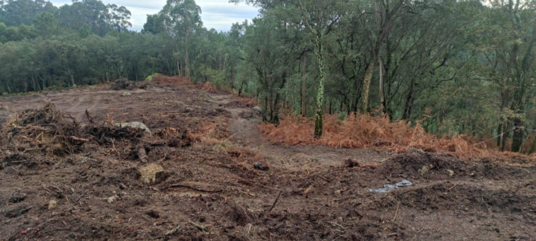 CDU acusa a Câmara de Famalicão e&nbsp; Governo de falta de "transparência"