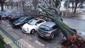 Queda de árvore dificulta trânsito na Rua 25 de Abril