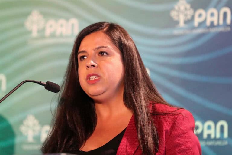 "É lamentável que a transição energética tenha de passar pela destruição de espaços verdes"