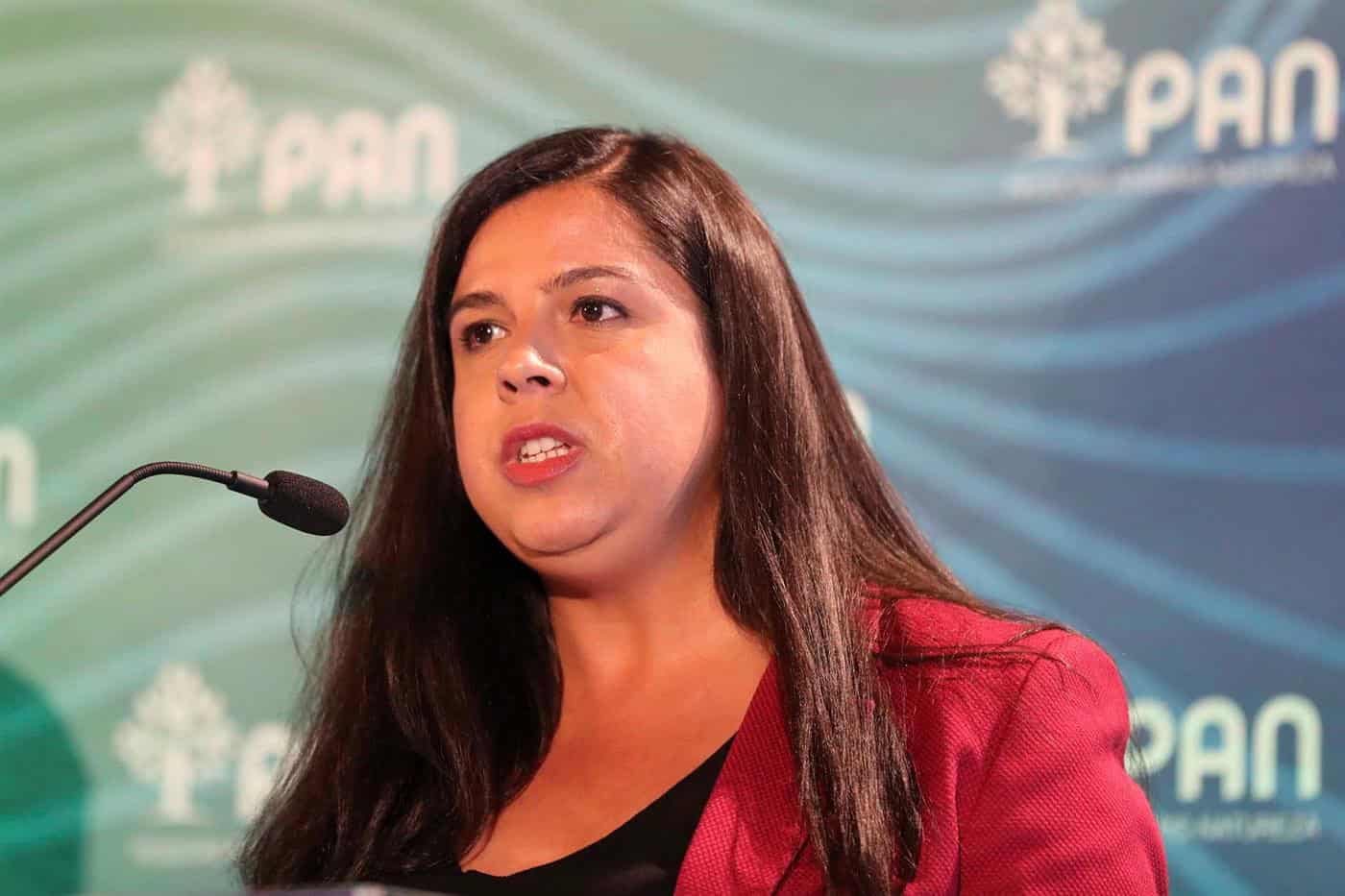 "É lamentável que a transição energética tenha de passar pela destruição de espaços verdes"