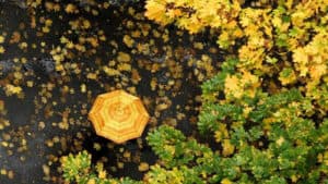 Braga é um dos oito distritos sob aviso amarelo até à passagem de ano