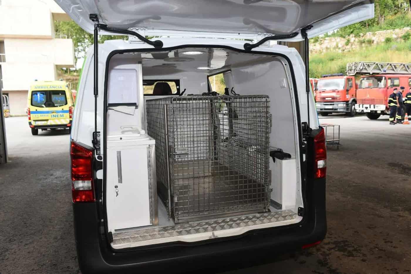 Bombeiros Sapadores de Braga socorreram 328 animais em 2022