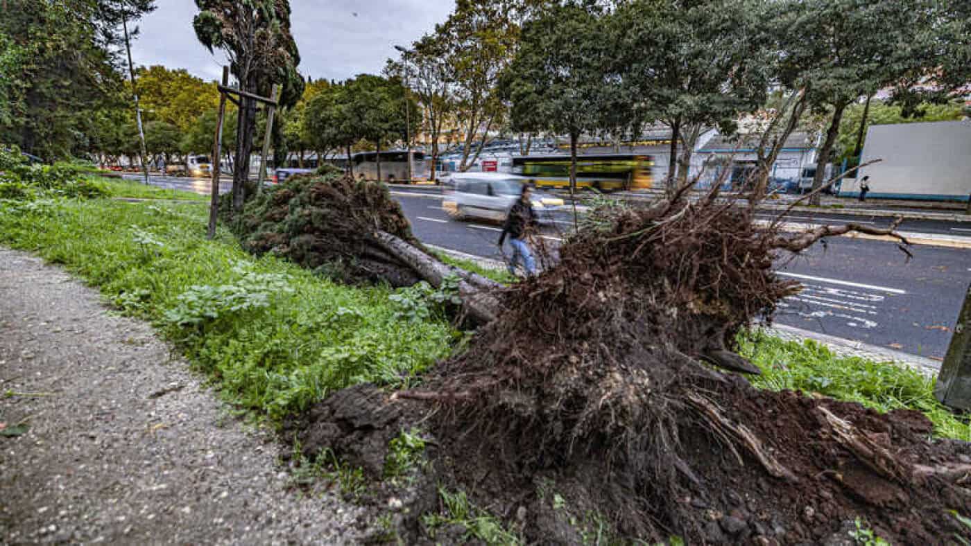 Queda de árvores e inundações entre as 129 ocorrências registadas durante a noite