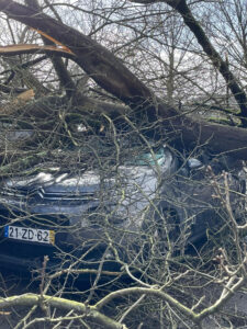 Queda de árvore faz dois feridos em Vila Nova de Famalicão&nbsp;