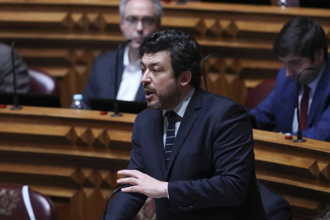 PS disposto a mexer na Constituição e na lei para tornar bem-estar animal “claro para todos”