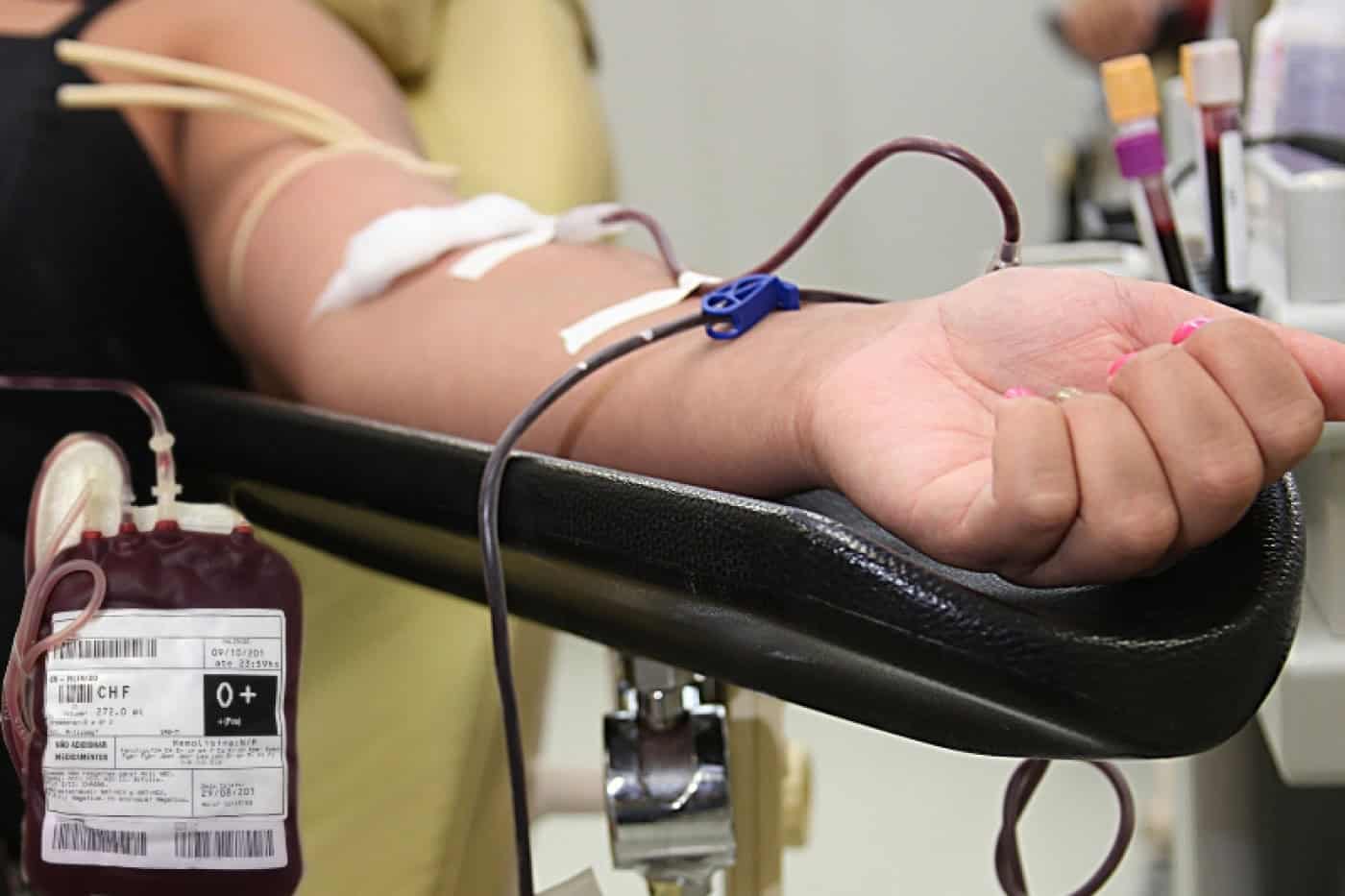 IPO Porto apela à dádiva de sangue e plaquetas sobretudo dos jovens
