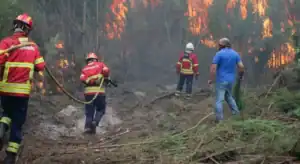 Ministro anuncia 122ME de fundos europeus para apoiar bombeiros e autarquias