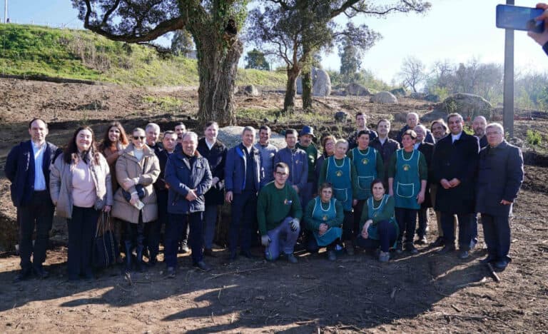 Confraria planta 5 mil árvores no Bom Jesus para criar faixa de proteção contra incêndios