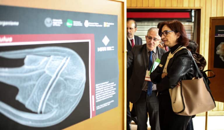 ABIC reúne com ministra e presidente da FCT a 6 de fevereiro