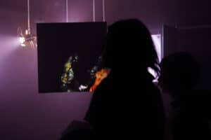 Gnration recebe exposição&nbsp; ‘Análise de um paraíso fugaz’ até 6 de maio