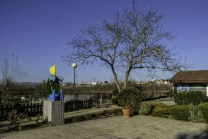 Quinta Pedagógica de Braga regista mais de 3000 horas de serviço comunitário