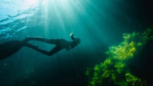 UMinho recebe Festival de cinema ambiental mais antigo do país