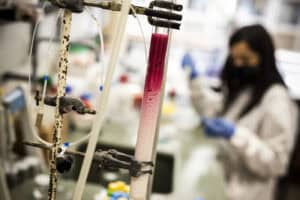 MIT Portugal vai atribuir dez bolsas de doutoramento&nbsp;na área do Clima e Alterações Climáticas