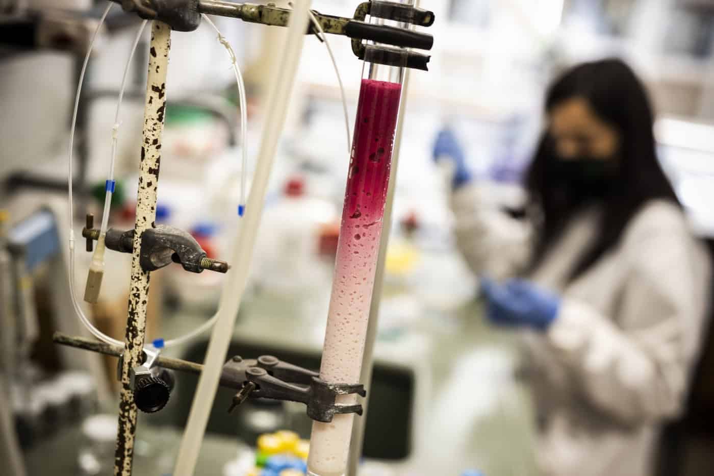 MIT Portugal vai atribuir dez bolsas de doutoramento na área do Clima e Alterações Climáticas