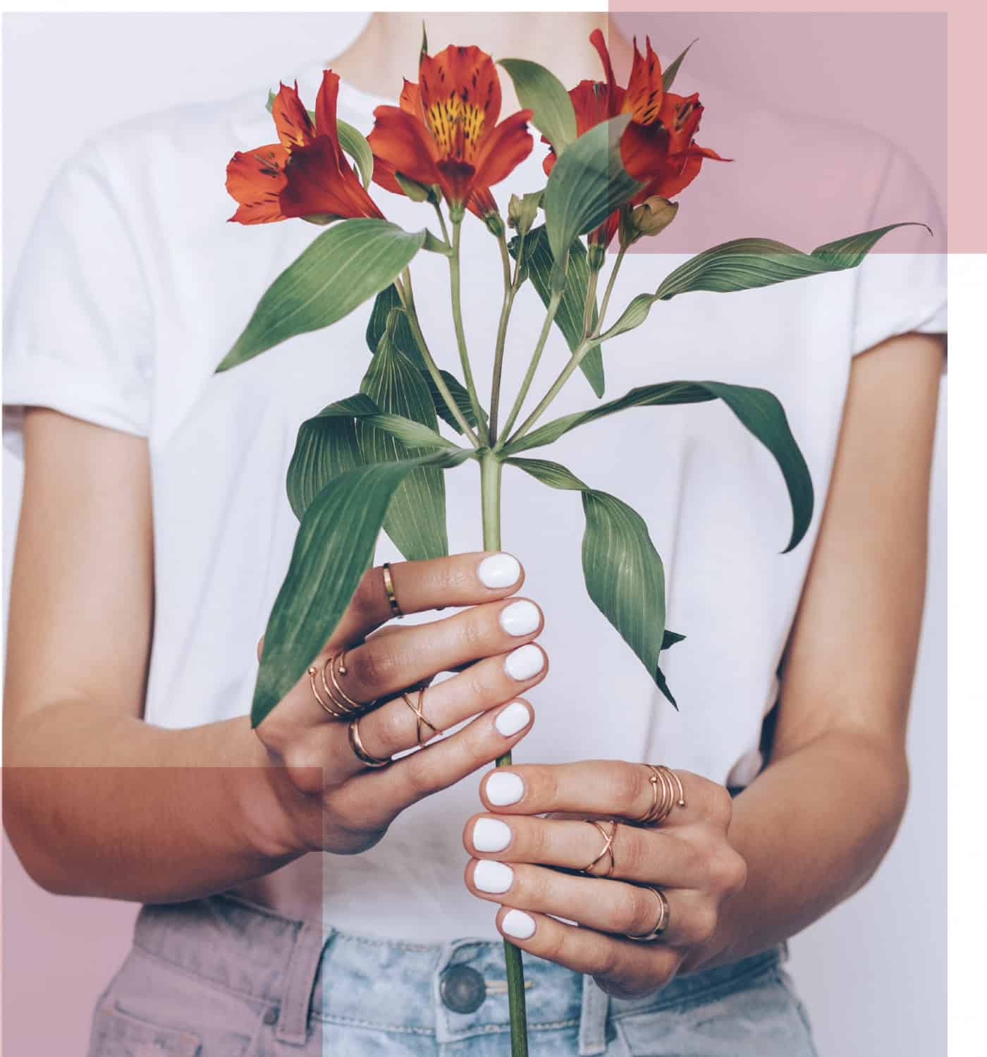 Guimarães assinala Dia Internacional da Mulher com música, reflexão e flores