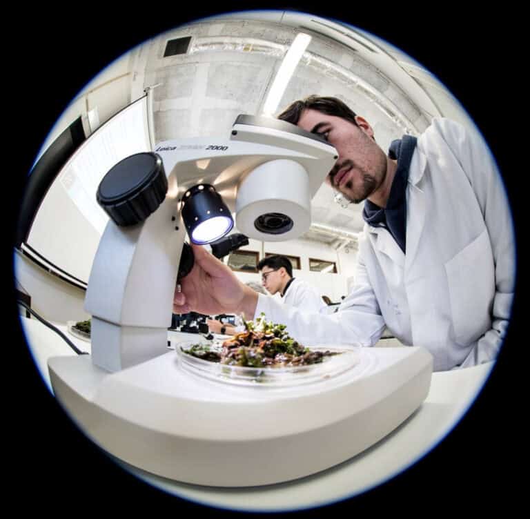 Subfinanciamento está a pôr em causa investigação na UMinho