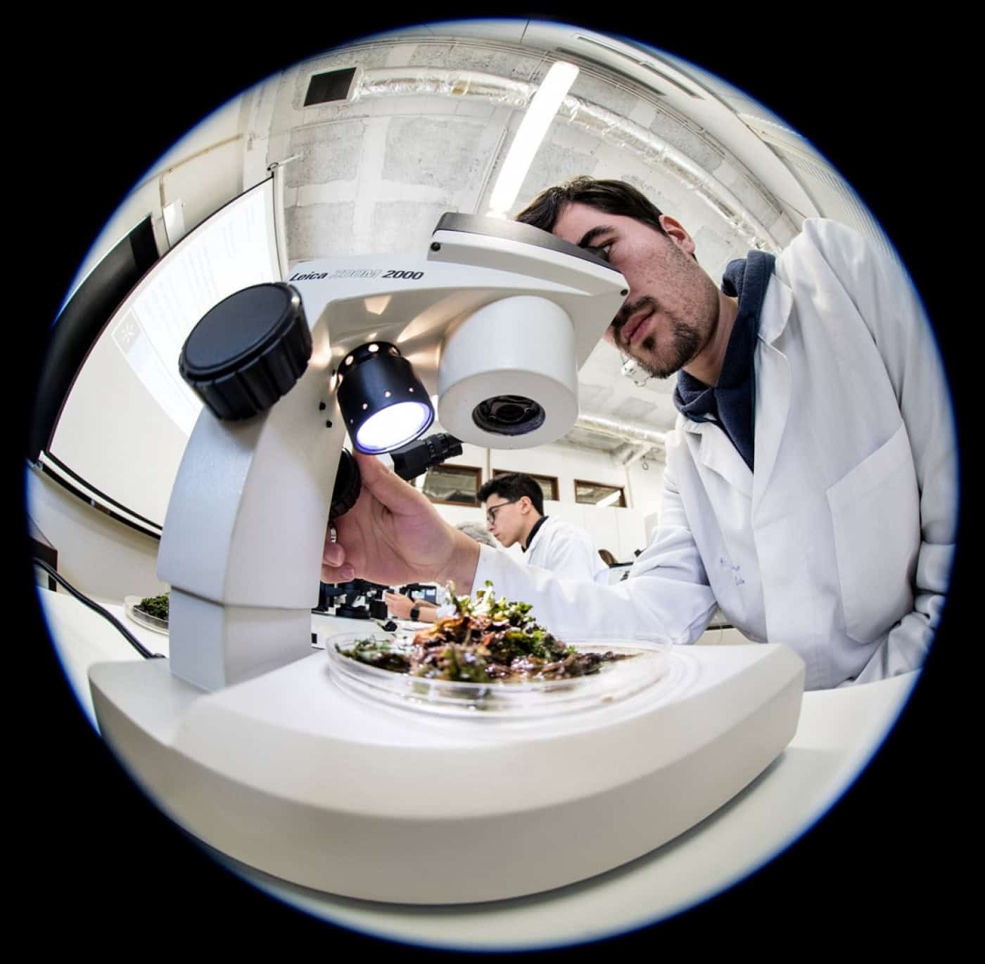 Subfinanciamento está a pôr em causa investigação na UMinho