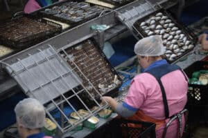 Desigualdades de género no emprego são maiores do que se pensava&nbsp;