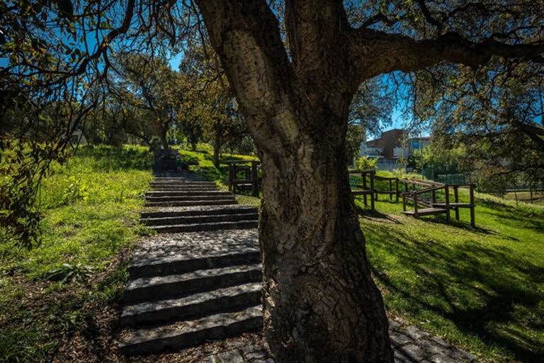 Especialistas reúnem-se em Braga para falar de plantas autóctones e requalificação ambiental