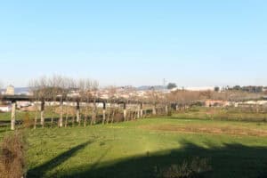 Famalicão aprova Unidade de Execução do Pelhe para nova USF de S. Miguel-o-Anjo