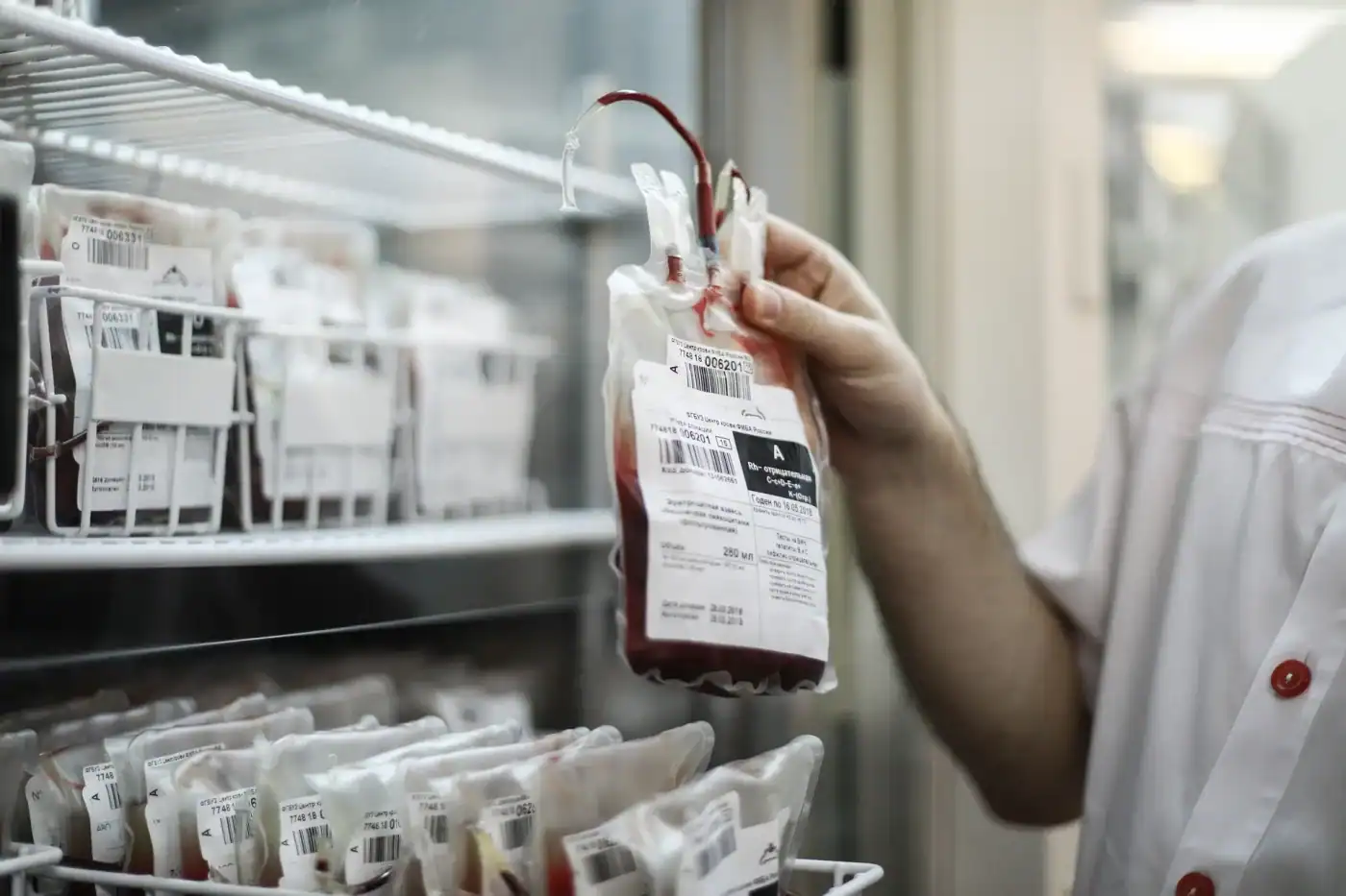 IPO do Porto apela à dádiva regular de sangue e plaquetas&nbsp;