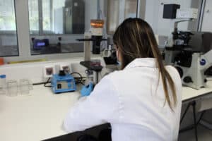 UMinho vai criar nova carreira de gestor de ciência e tecnologia