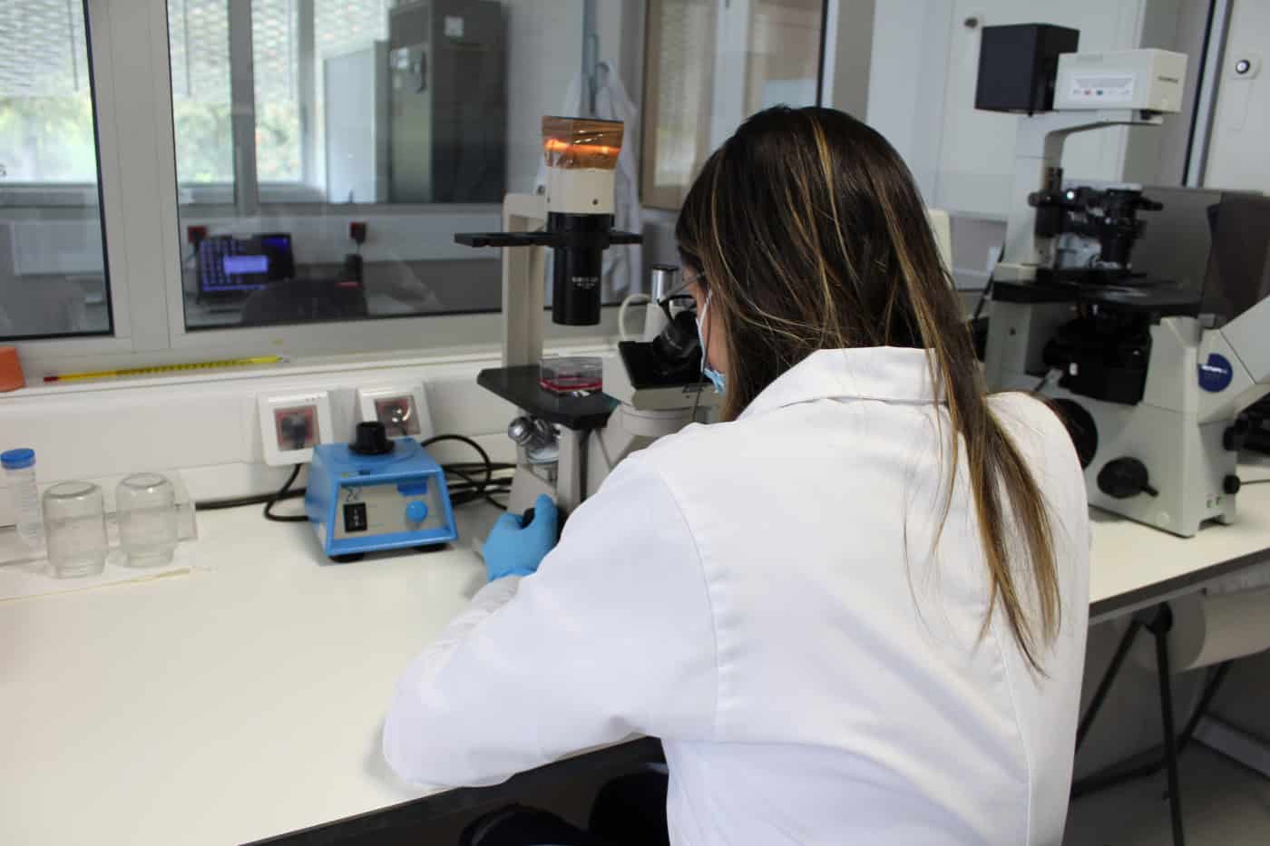 UMinho vai criar nova carreira de gestor de ciência e tecnologia