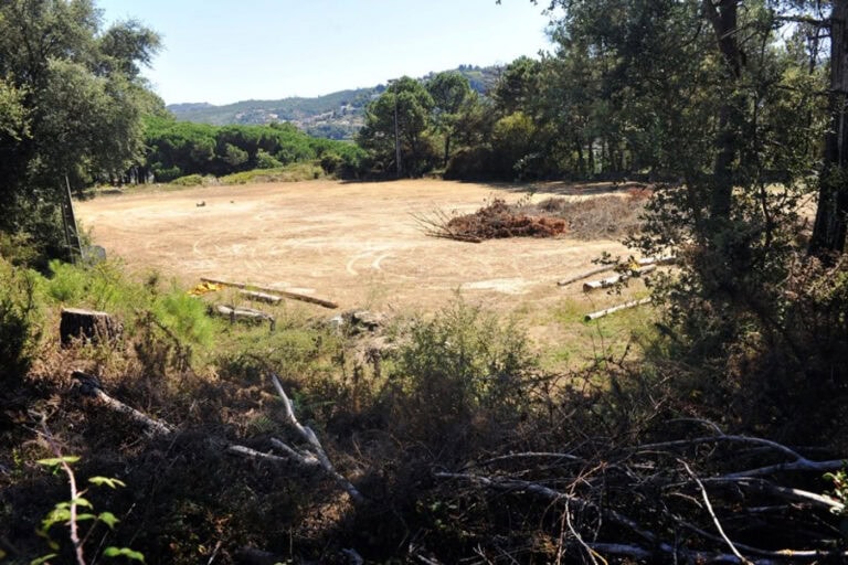 Projeto para parque desportivo de Gualtar está a ser reformulado