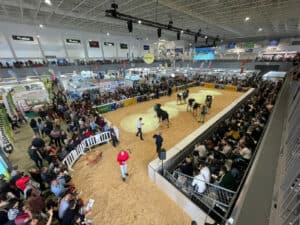 Agro atinge recorde de participação