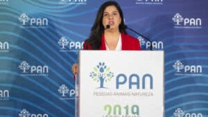 Inês de Sousa Real vai recandidatar-se à liderança do PAN&nbsp;