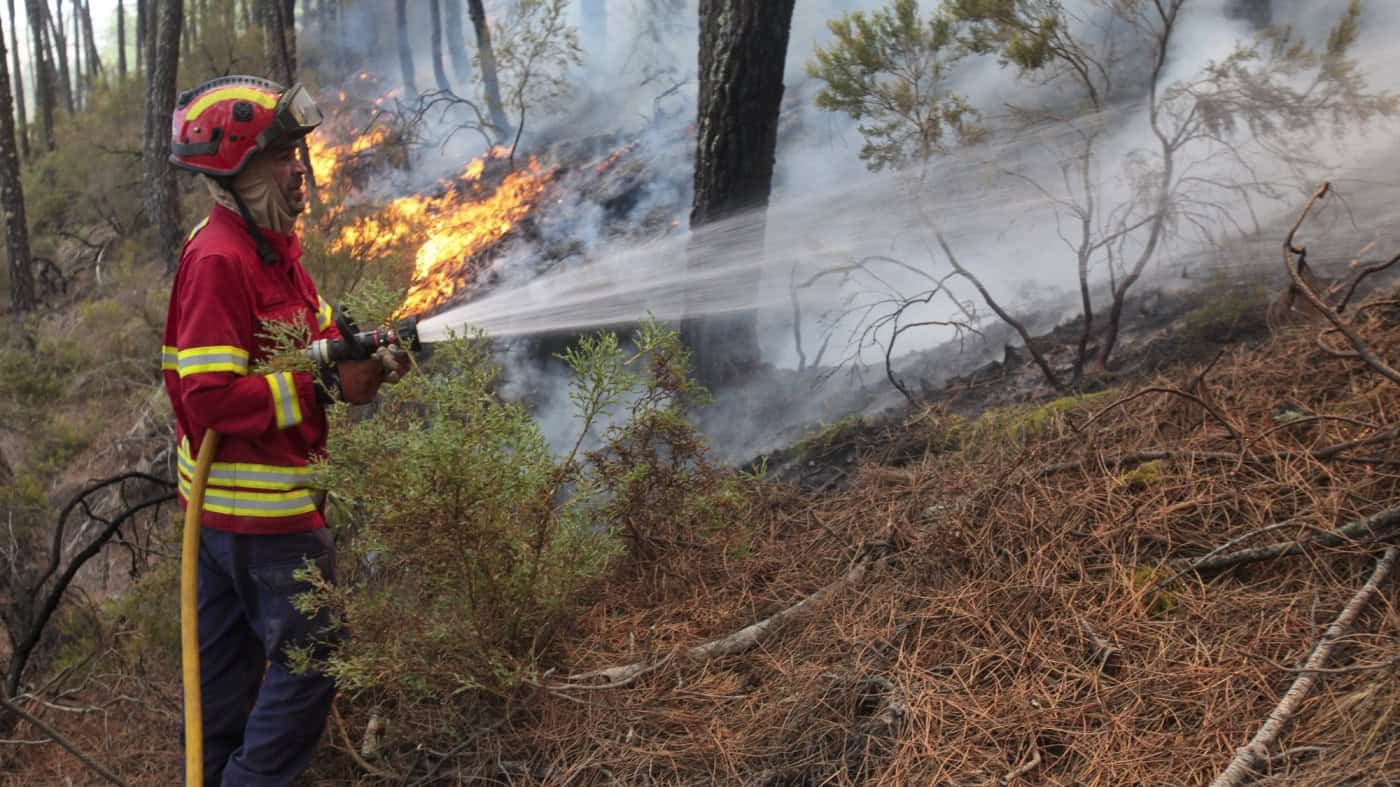 Incêndio em Vila Verde e Fafe mobiliza 89 bombeiros e três meios aéreos