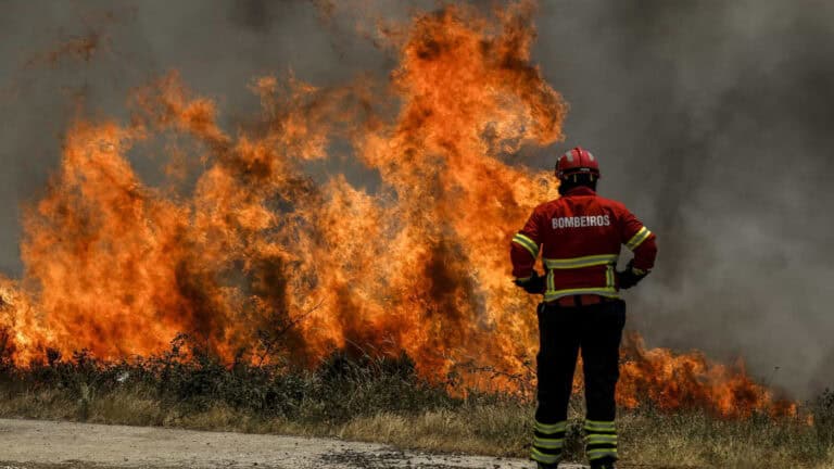 Ano de 2023 apresenta o 6.º valor mais elevado de incêndios da última década
