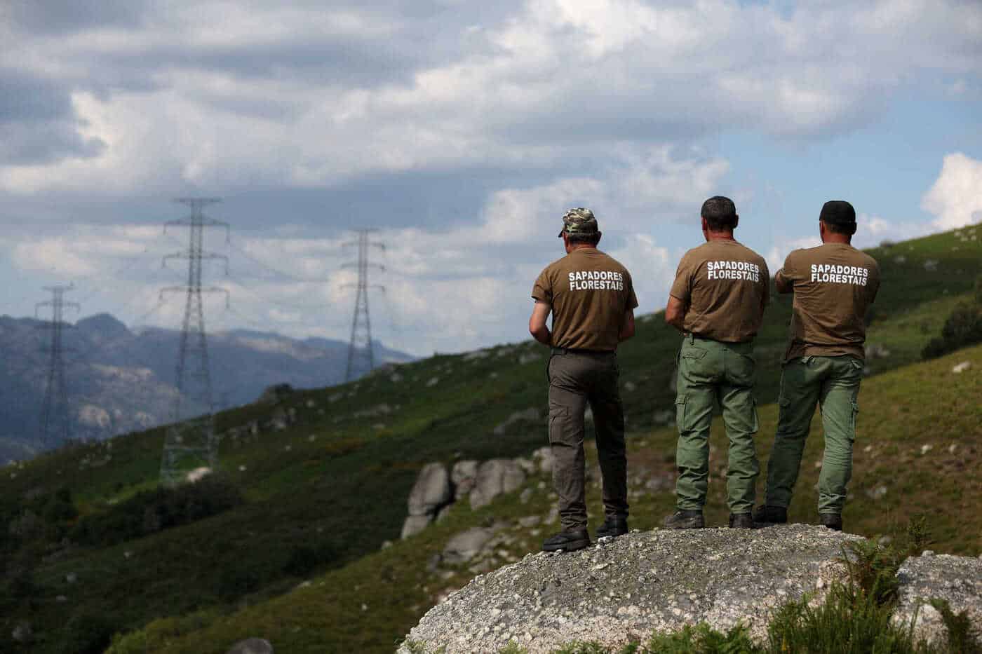 Governo vai reforçar financiamento das equipas de sapadores florestais