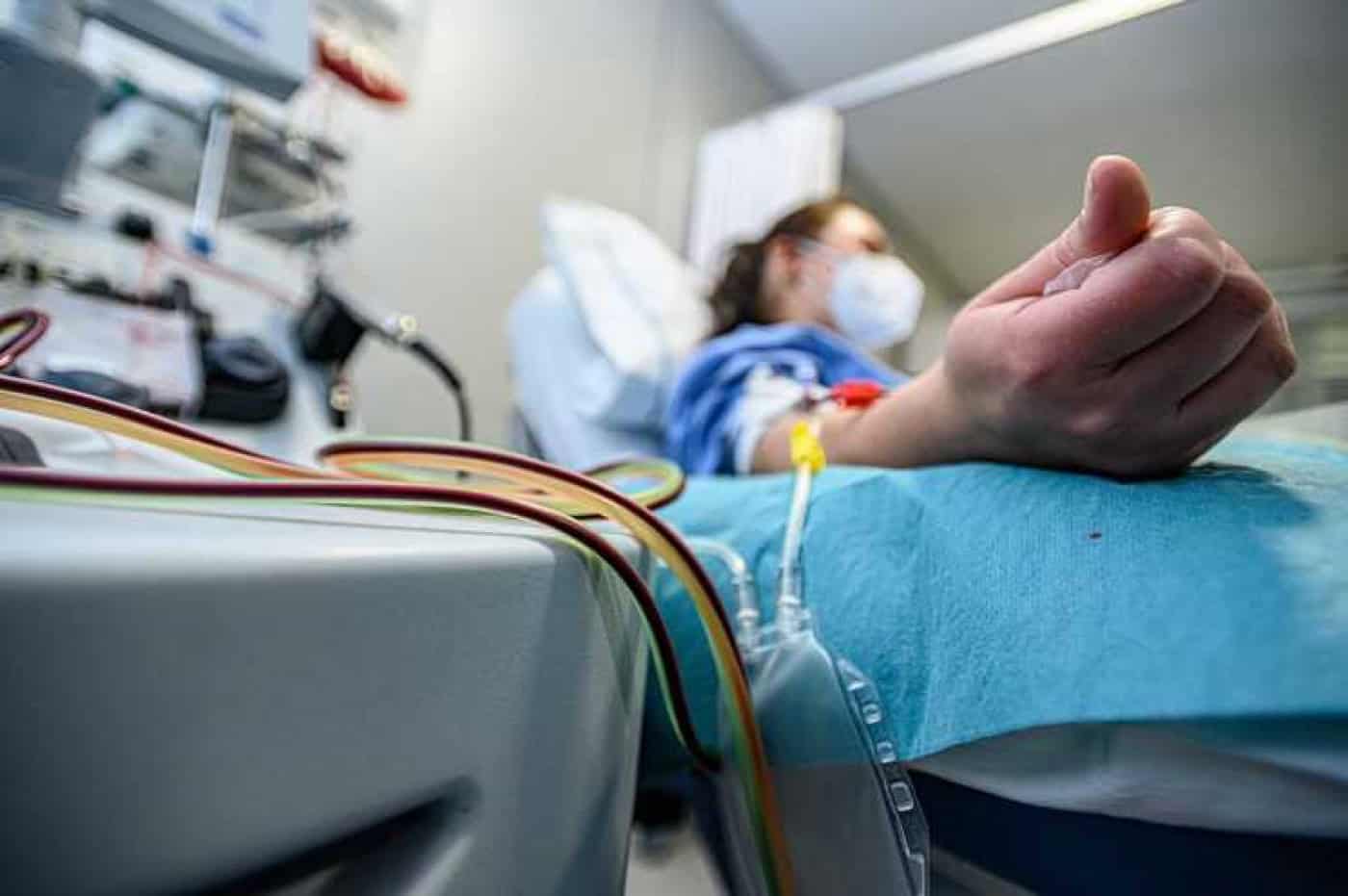 Dadores de medula óssea em queda salvaram 72 vidas num ano